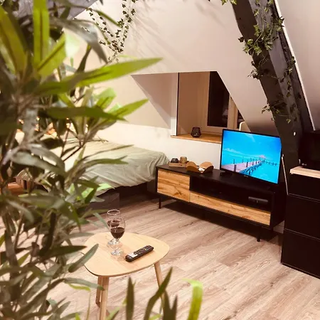 L' Urban Jungle - Evasion En Centre-ville