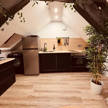 L' Urban Jungle - Evasion En Centre-ville Apartment Rouen