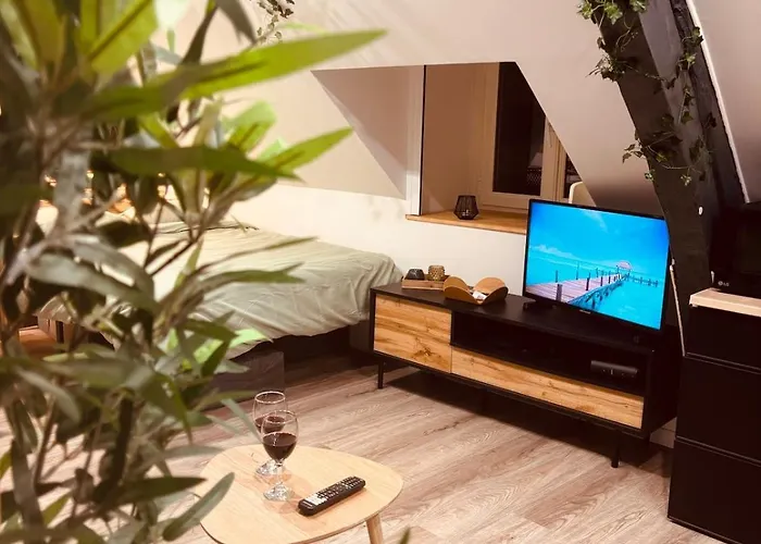 L' Urban Jungle - Evasion En Centre-ville