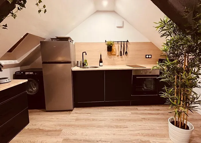 L' Urban Jungle - Evasion En Centre-ville Apartman Rouen