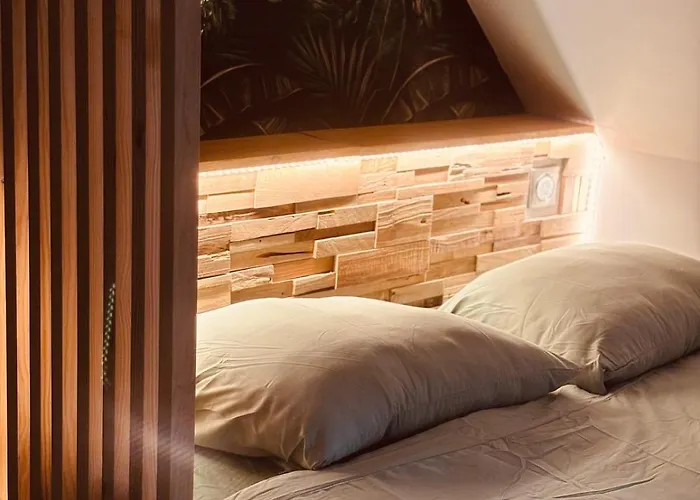 L' Urban Jungle - Evasion En Centre-ville Apartman Rouen